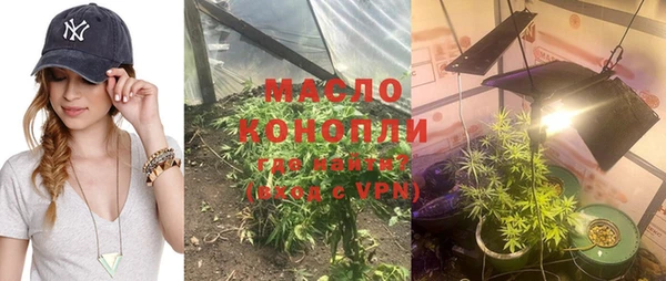 трава Гусиноозёрск
