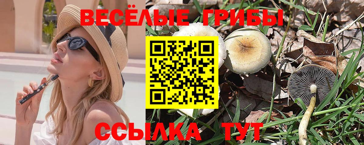Псилоцибиновые грибы Magic Shrooms  Галлюциногенные грибы ЛСД  Коммунар  Вход с VPN 