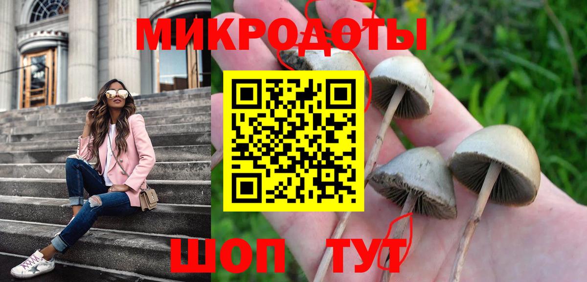 Псилоцибиновые грибы прущие грибы Коммунар